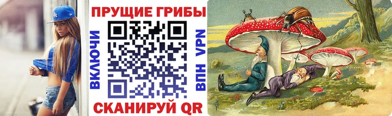 купить  цена  Южа  Галлюциногенные грибы Magic Shrooms 